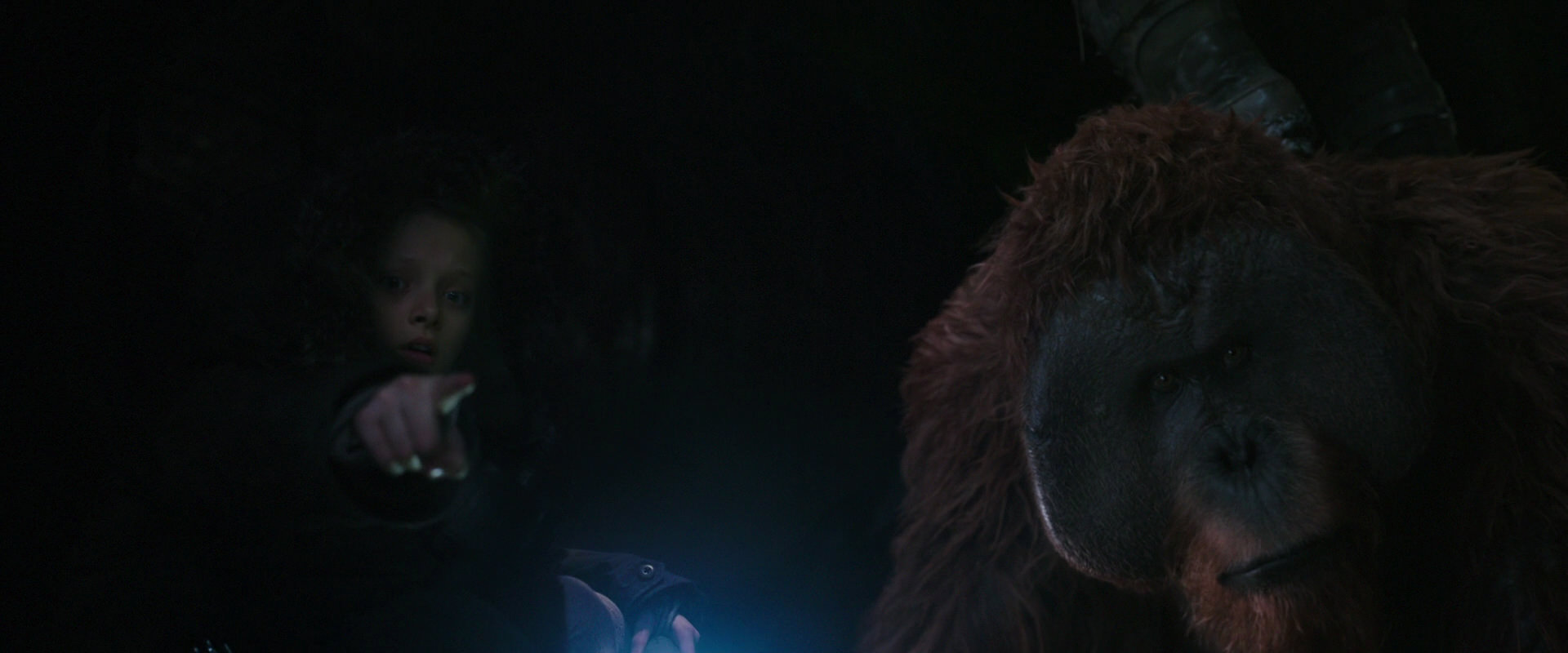 War for the Planet of the Apes (2017) movie still 12406