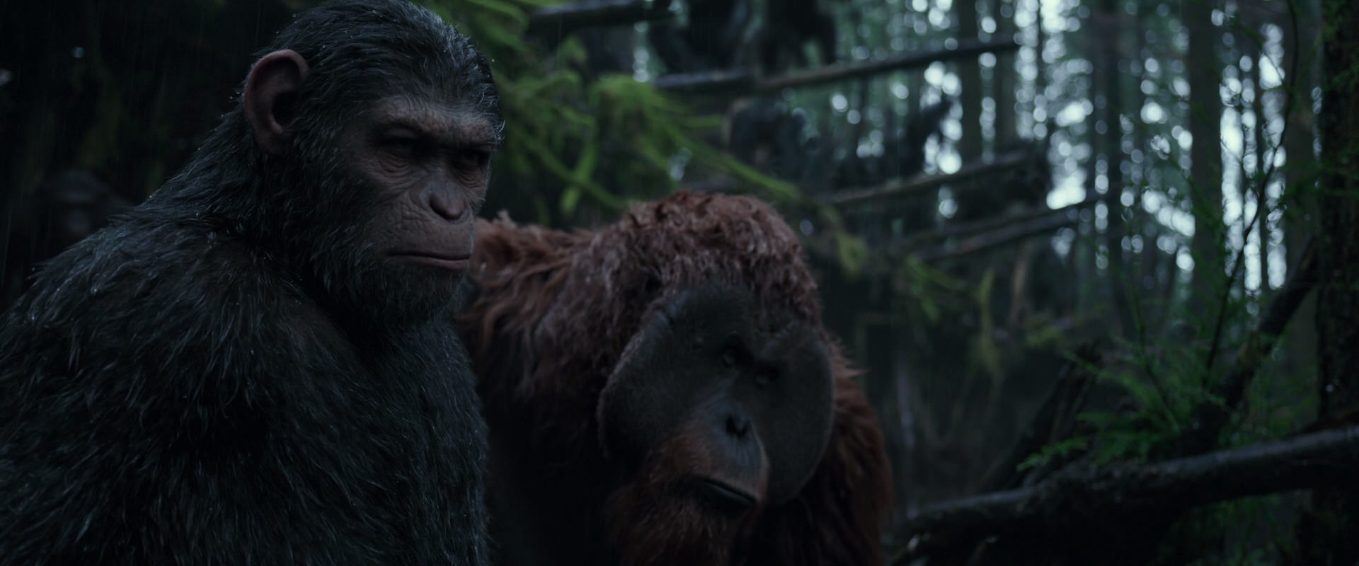 War for the Planet of the Apes (2017) HD screenshot 1241