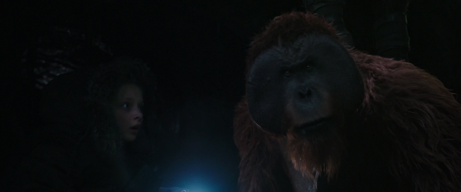 War for the Planet of the Apes (2017) screencap 12411