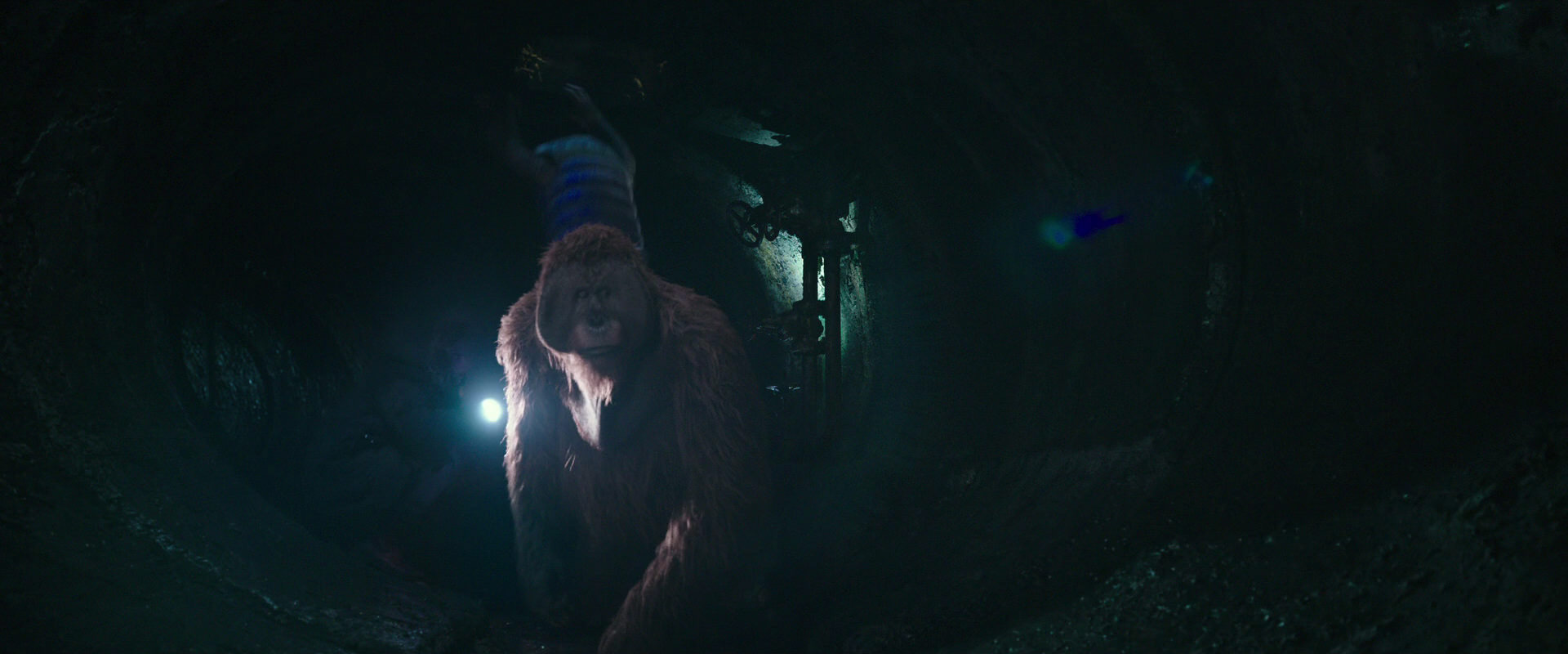 War for the Planet of the Apes (2017) movie still 12412