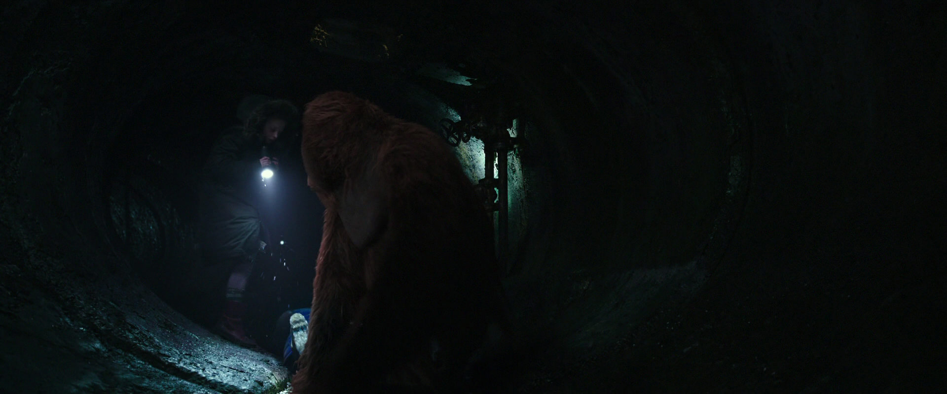 War for the Planet of the Apes (2017) screencap 12414