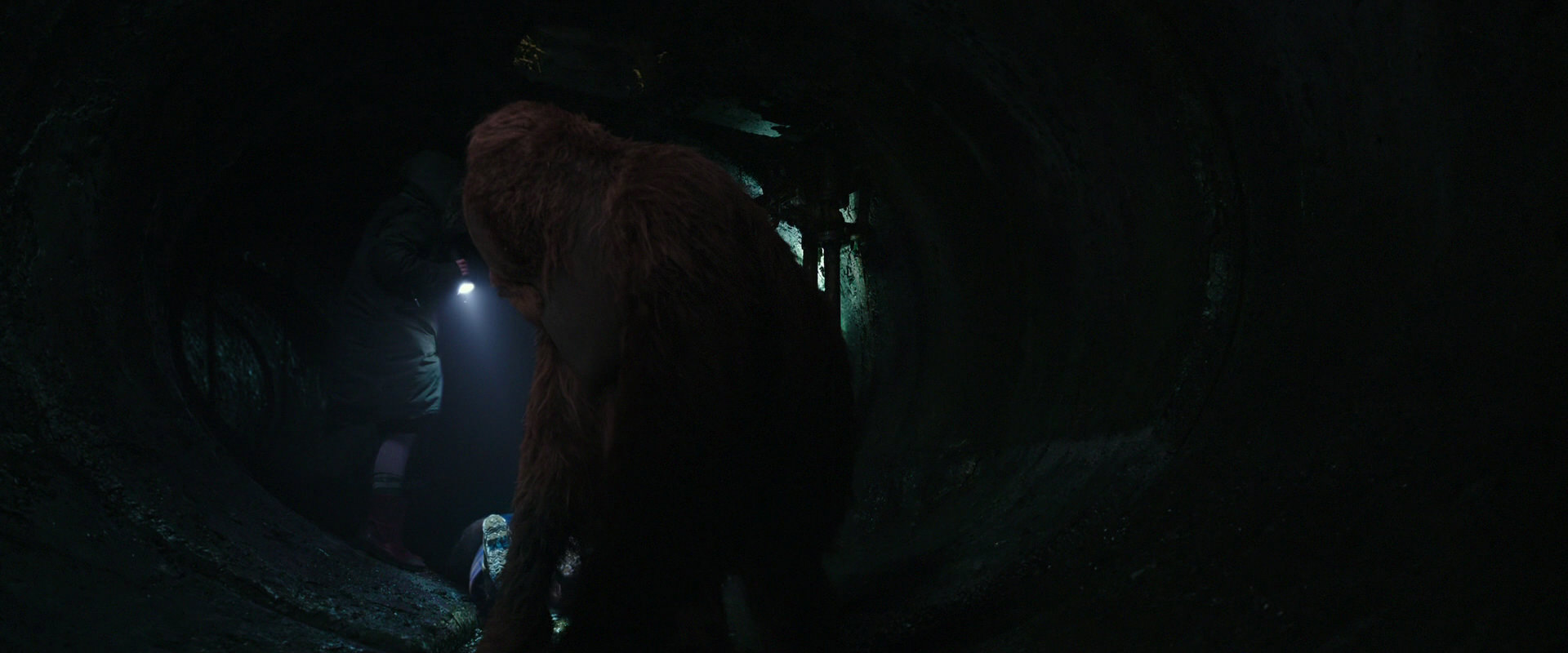War for the Planet of the Apes (2017) movie still 12415