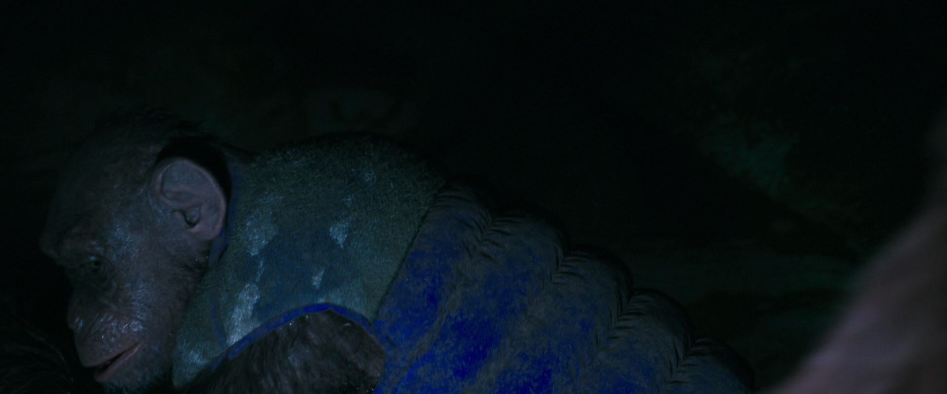 War for the Planet of the Apes (2017) screencap 12417