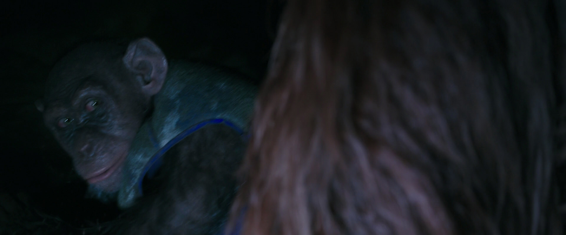 War for the Planet of the Apes (2017) HD screenshot 12419