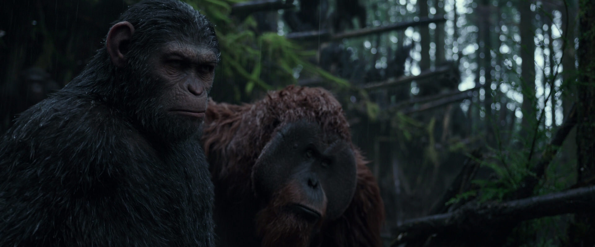 War for the Planet of the Apes (2017) screencap 1242