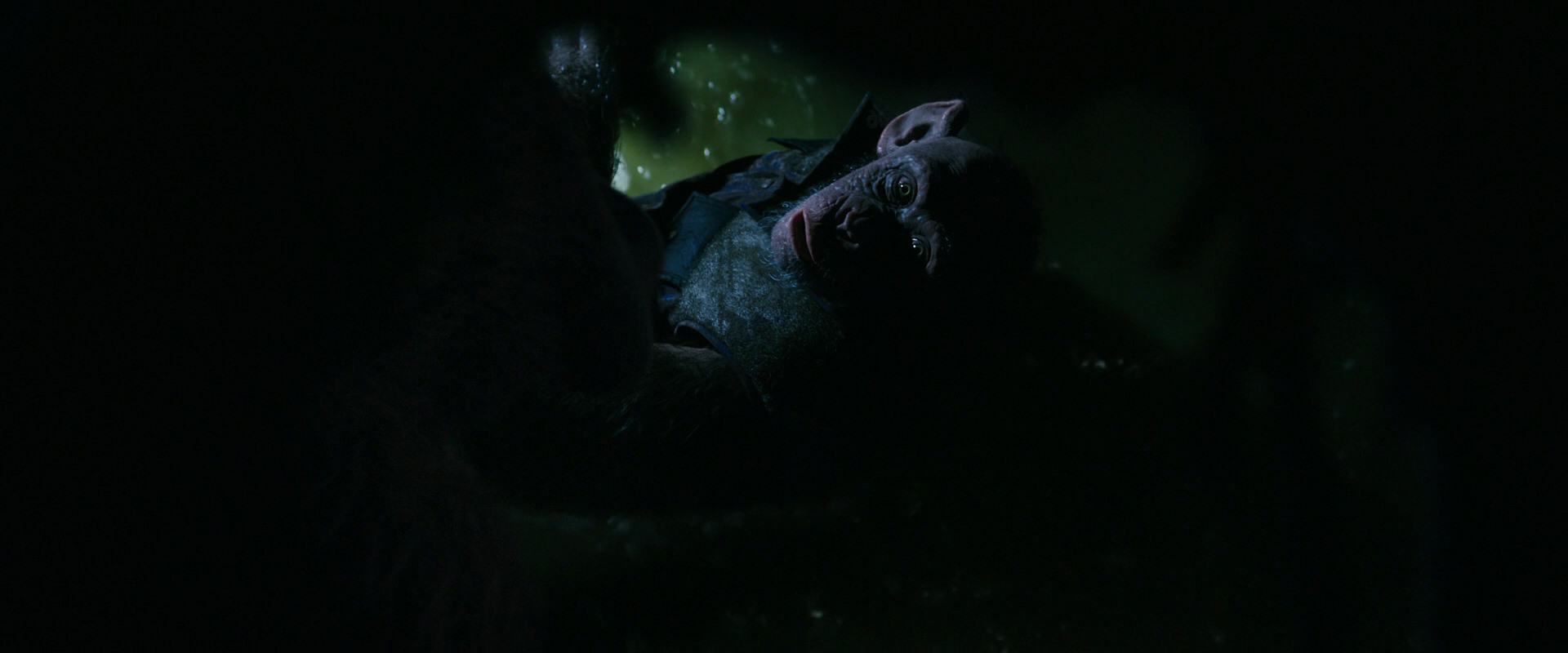War for the Planet of the Apes (2017) screencap 12426
