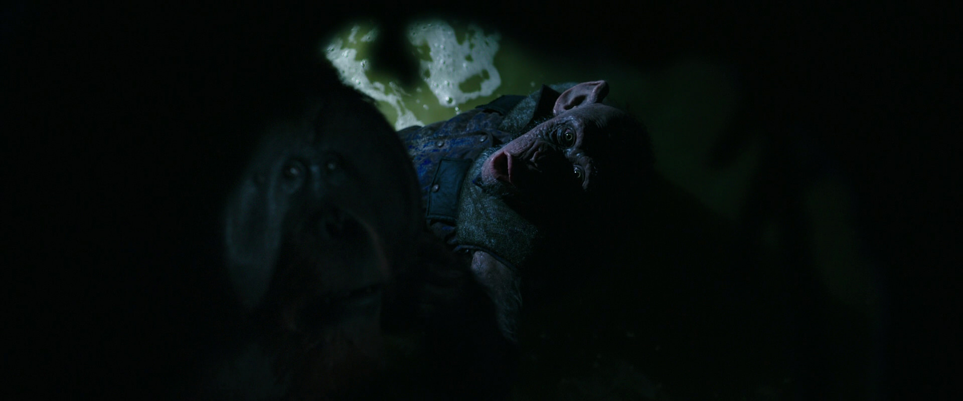 War for the Planet of the Apes (2017) screencap 12429