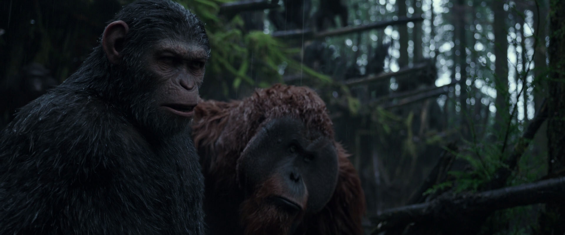 War for the Planet of the Apes (2017) movie still 1243