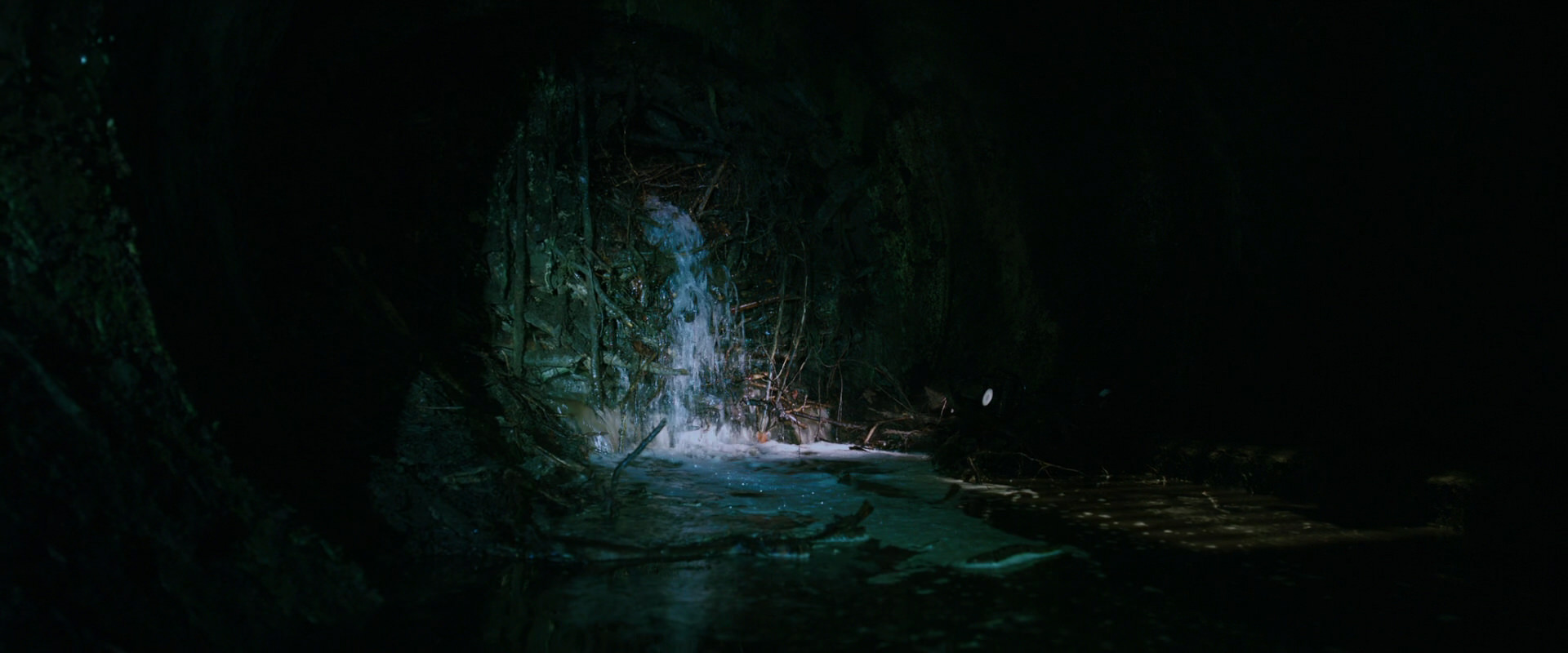 War for the Planet of the Apes (2017) screencap 12435
