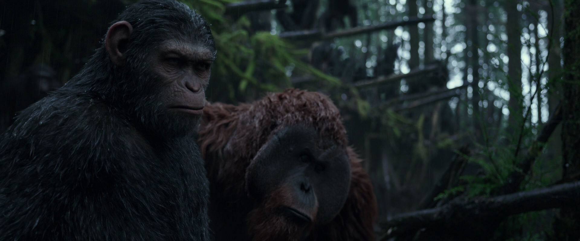 War for the Planet of the Apes (2017) HD screenshot 1244