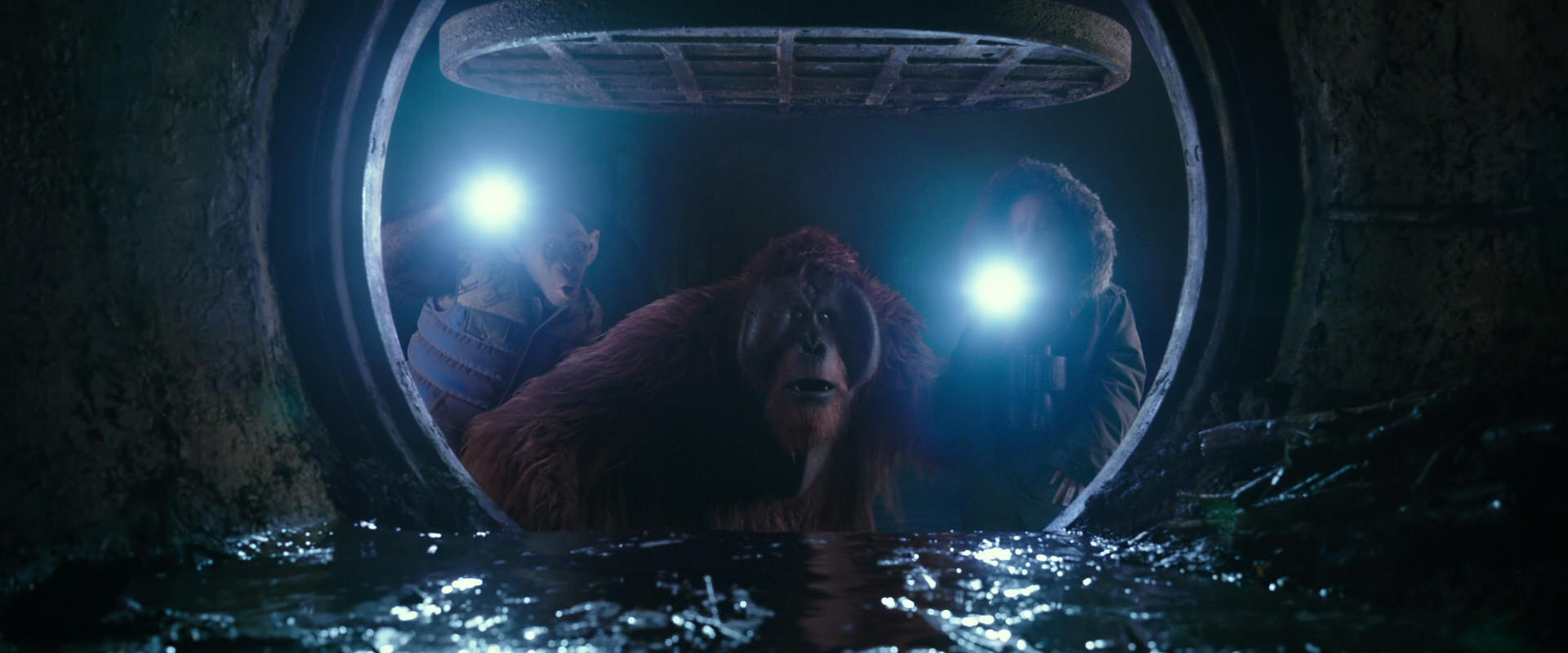 War for the Planet of the Apes (2017) screencap 12441