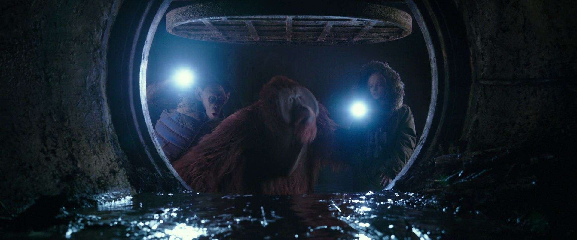 War for the Planet of the Apes (2017) movie still 12442