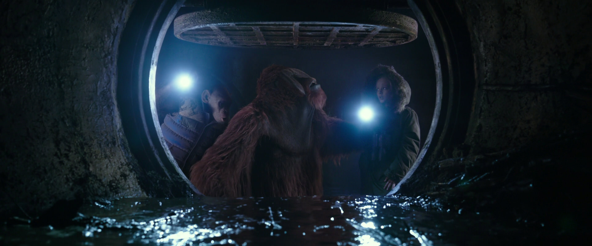 War for the Planet of the Apes (2017) HD screenshot 12443