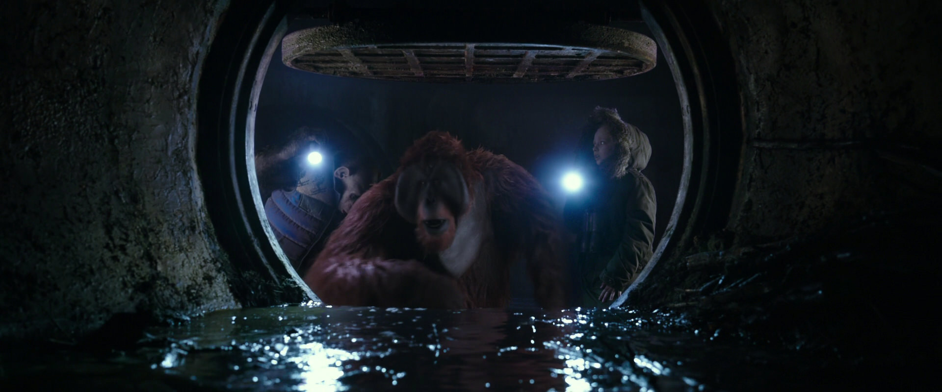 War for the Planet of the Apes (2017) screencap 12444