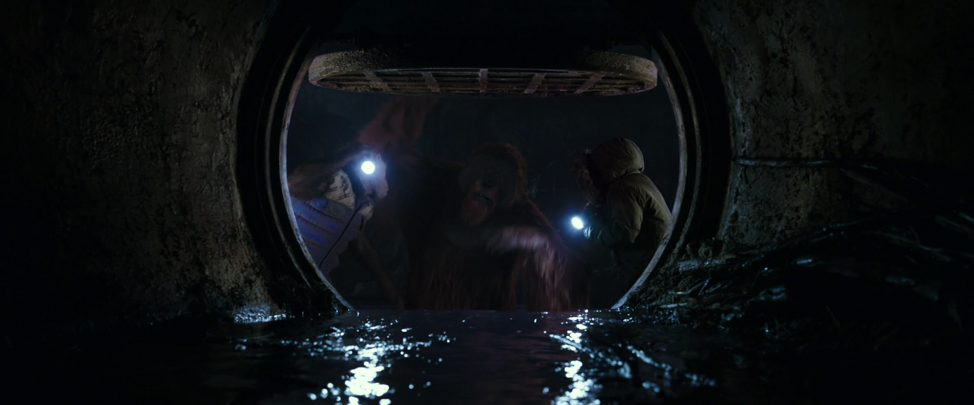 War for the Planet of the Apes (2017) screencap 12447