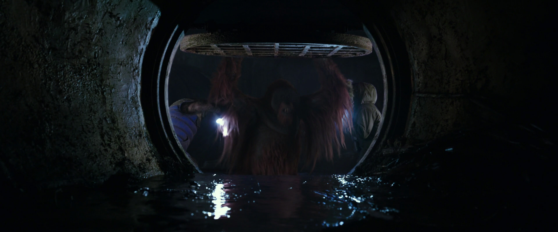 War for the Planet of the Apes (2017) movie still 12448