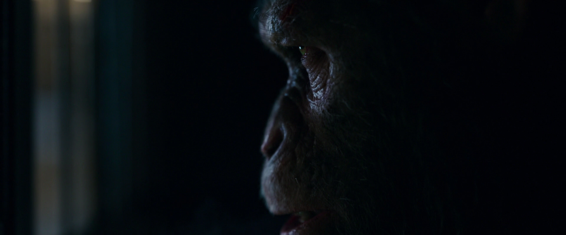 War for the Planet of the Apes (2017) HD screenshot 12455