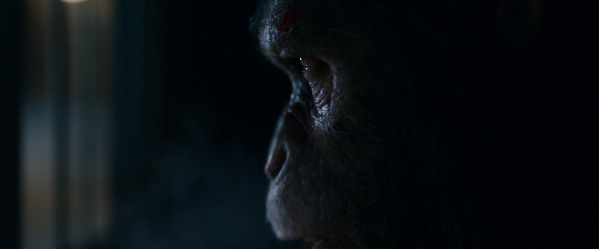 War for the Planet of the Apes (2017) screencap 12456