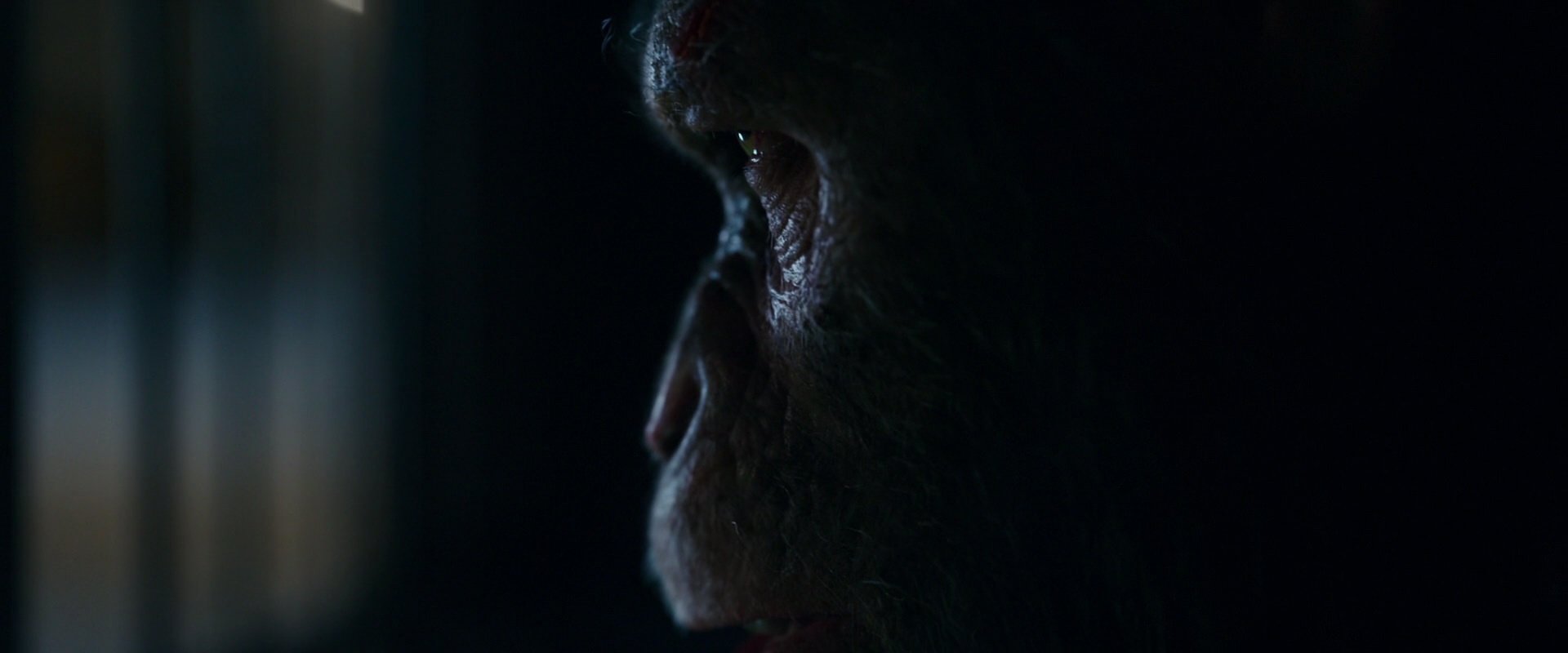War for the Planet of the Apes (2017) movie still 12457