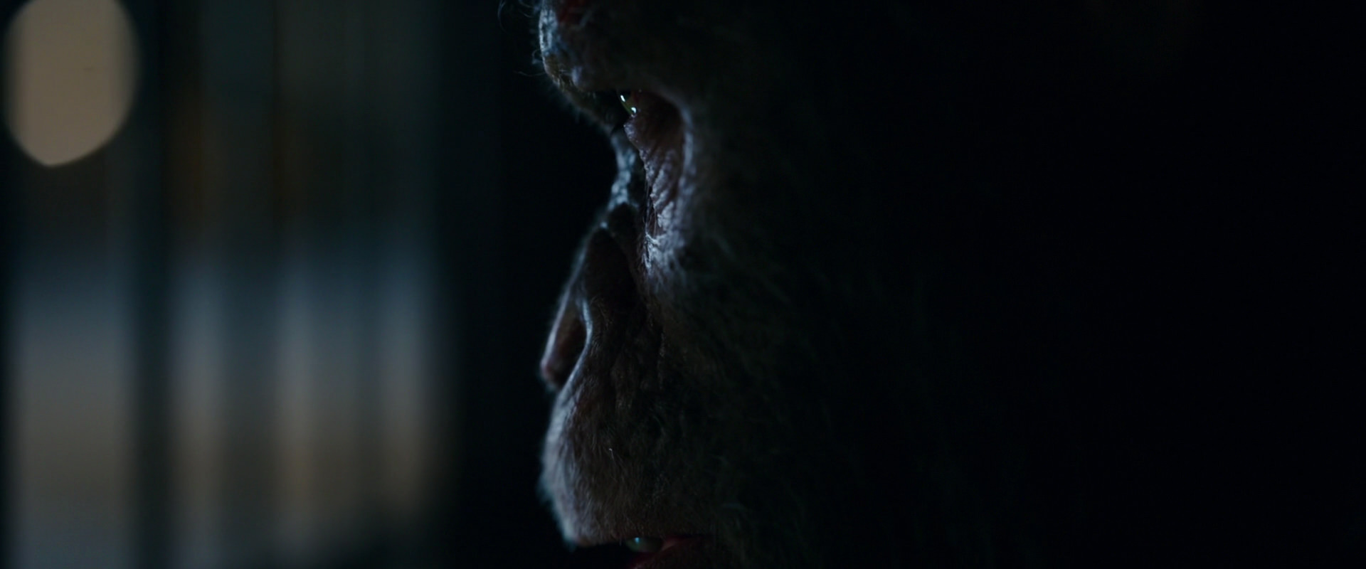 War for the Planet of the Apes (2017) HD screenshot 12458
