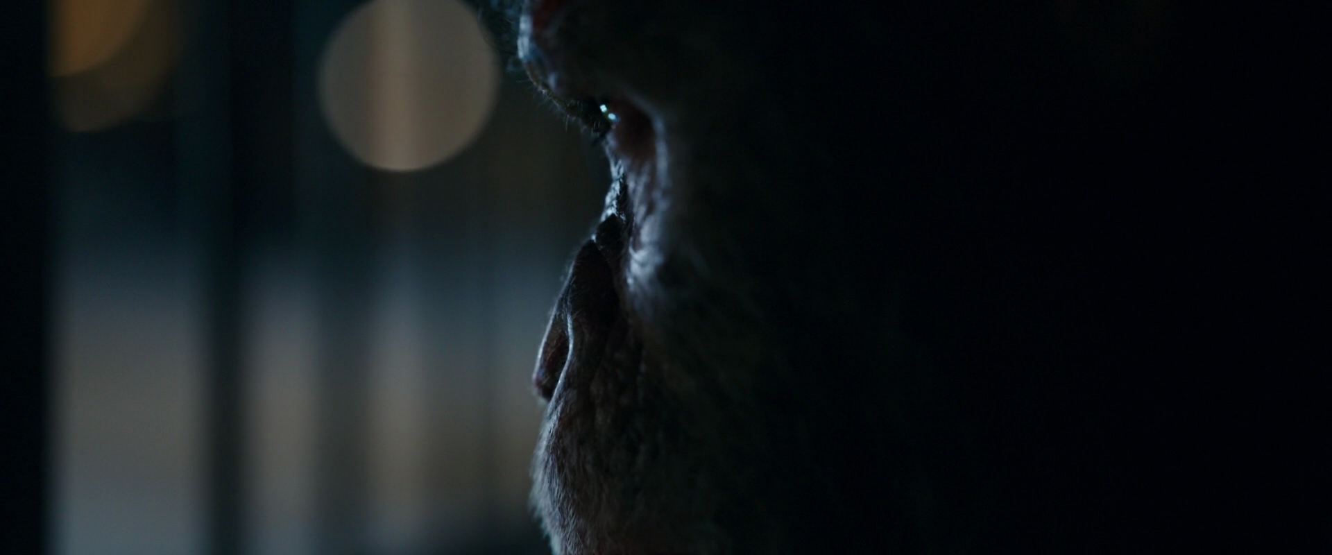 War for the Planet of the Apes (2017) screencap 12459