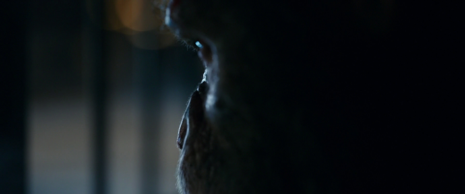 War for the Planet of the Apes (2017) movie still 12460