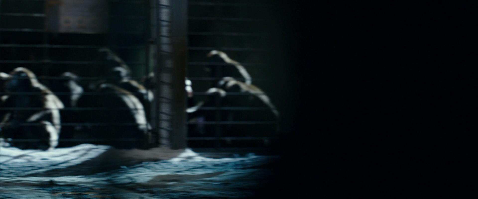 War for the Planet of the Apes (2017) screencap 12468