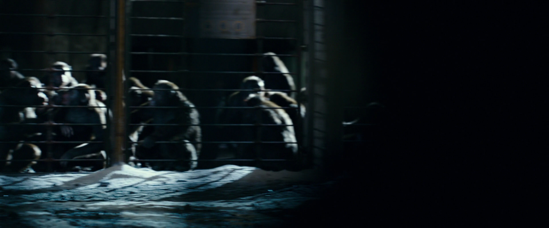 War for the Planet of the Apes (2017) movie still 12469