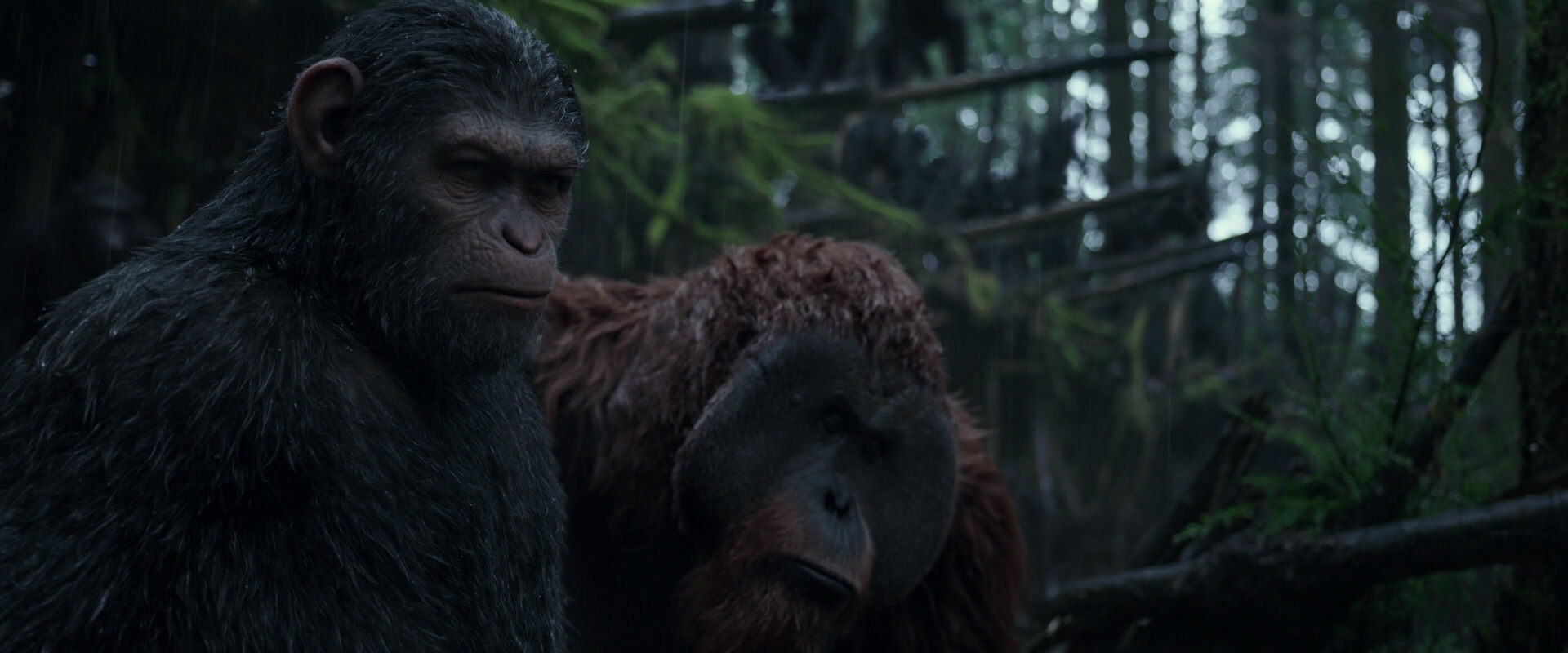 War for the Planet of the Apes (2017) HD screenshot 1247