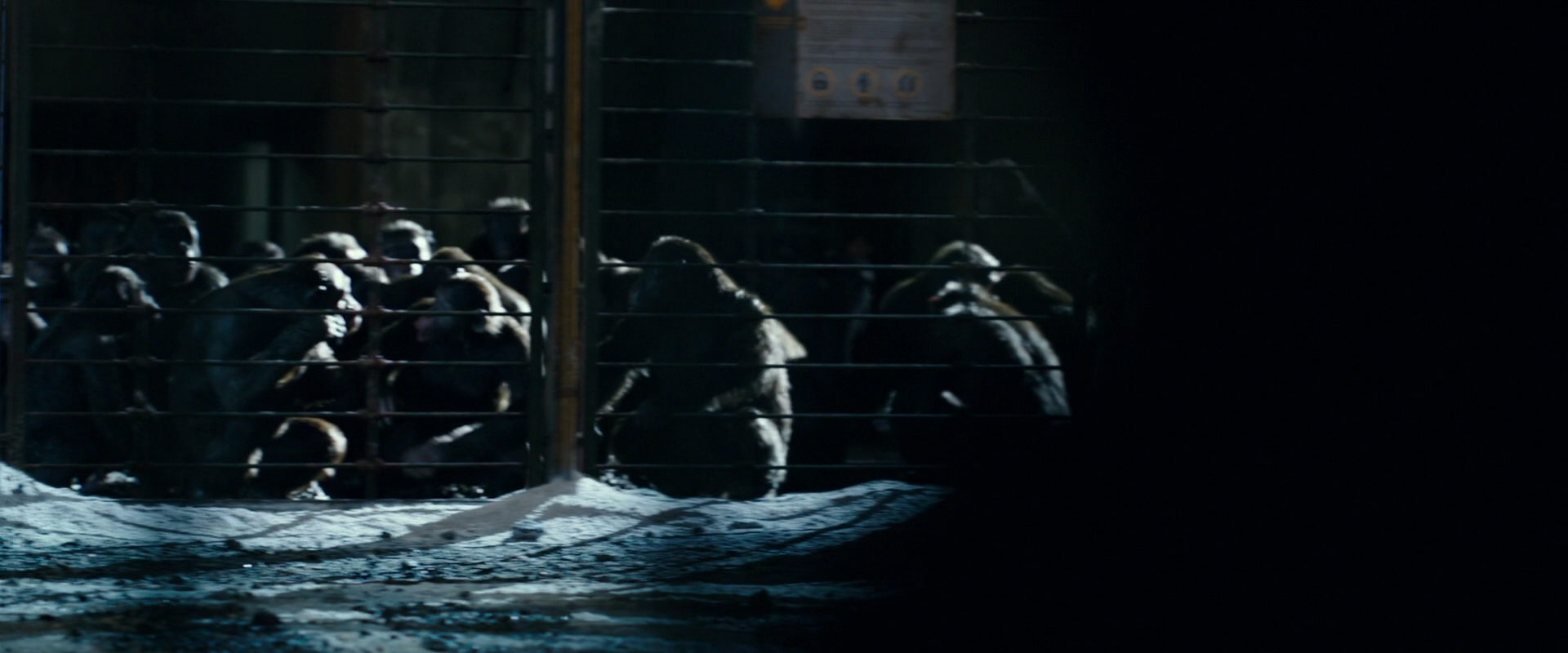 War for the Planet of the Apes (2017) HD screenshot 12470