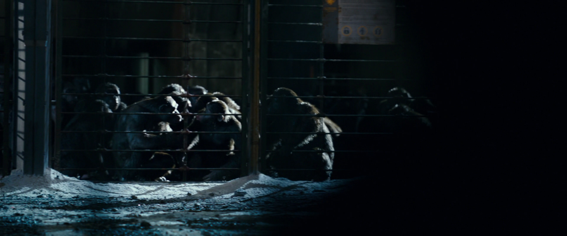 War for the Planet of the Apes (2017) screencap 12471