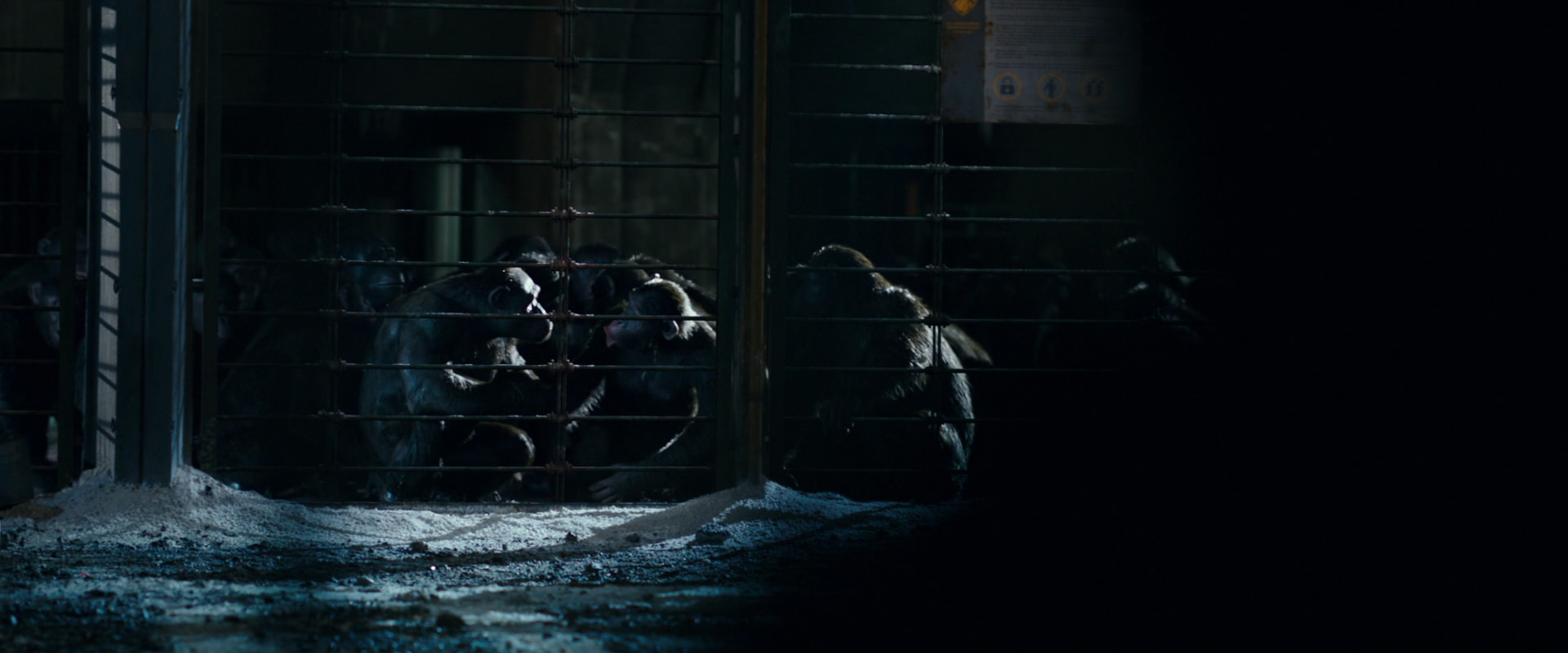 War for the Planet of the Apes (2017) movie still 12472