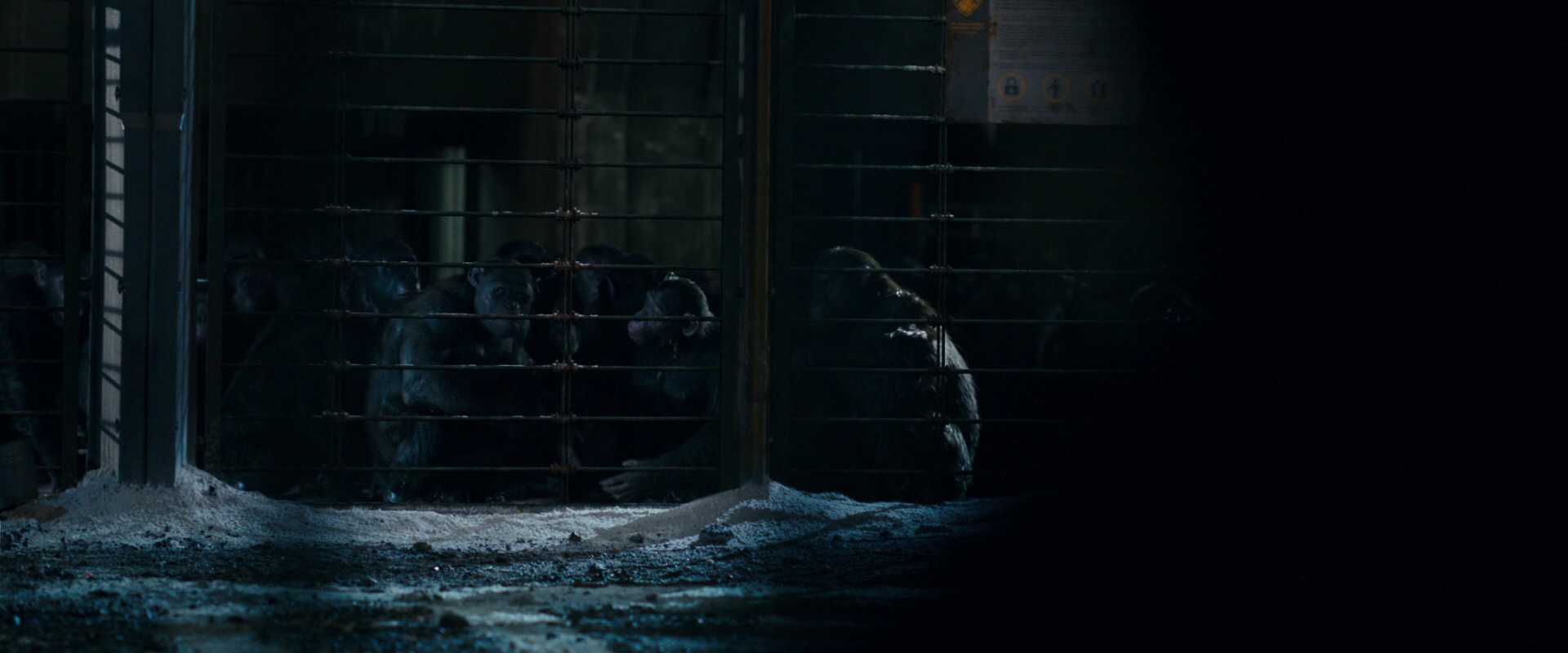 War for the Planet of the Apes (2017) HD screenshot 12473