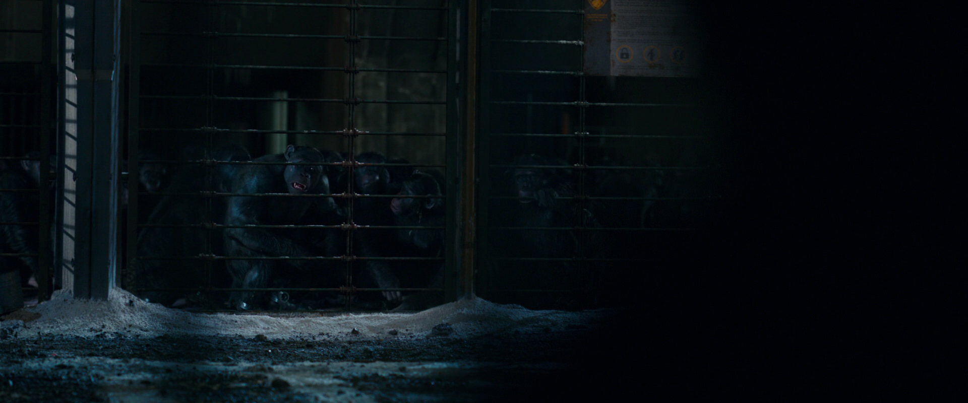 War for the Planet of the Apes (2017) screencap 12474