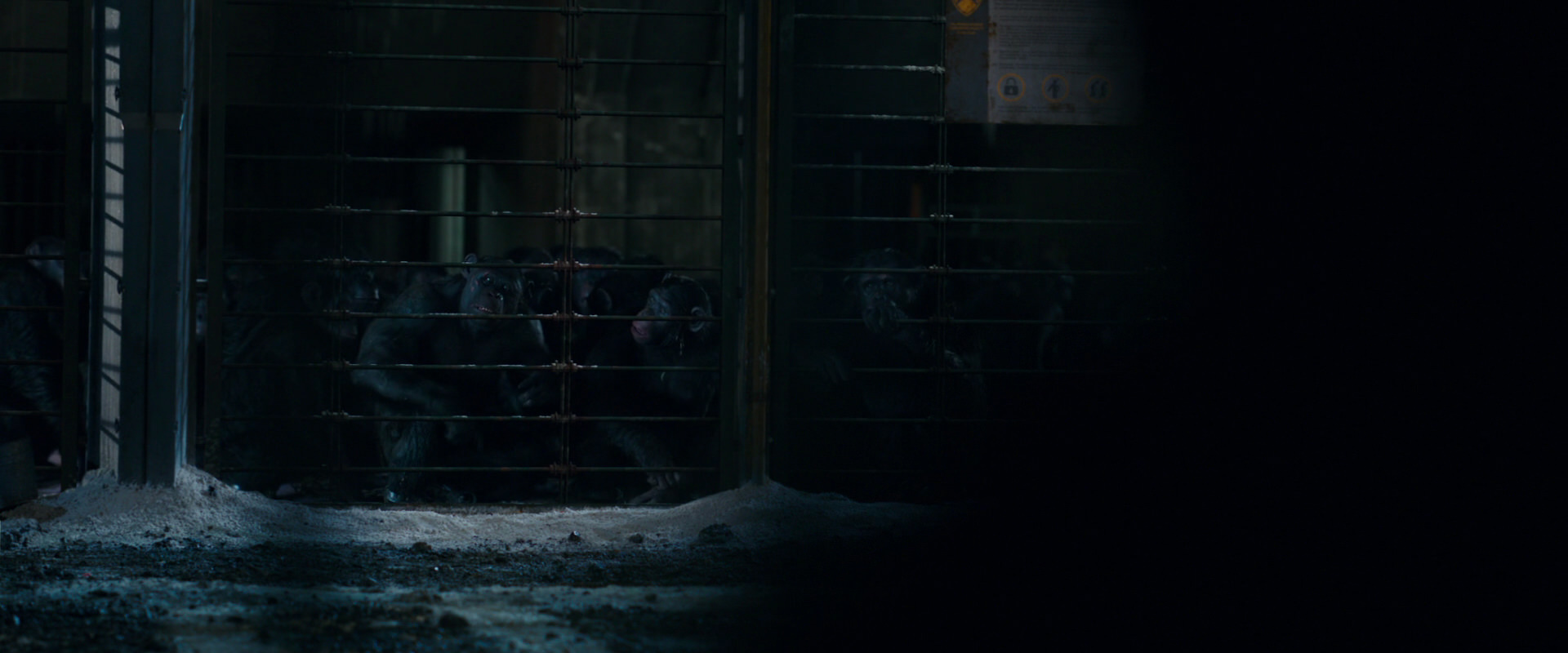 War for the Planet of the Apes (2017) movie still 12475