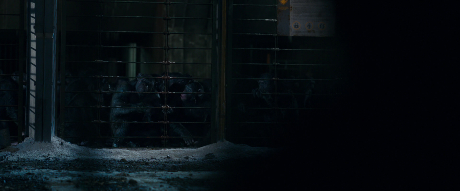 War for the Planet of the Apes (2017) HD screenshot 12476