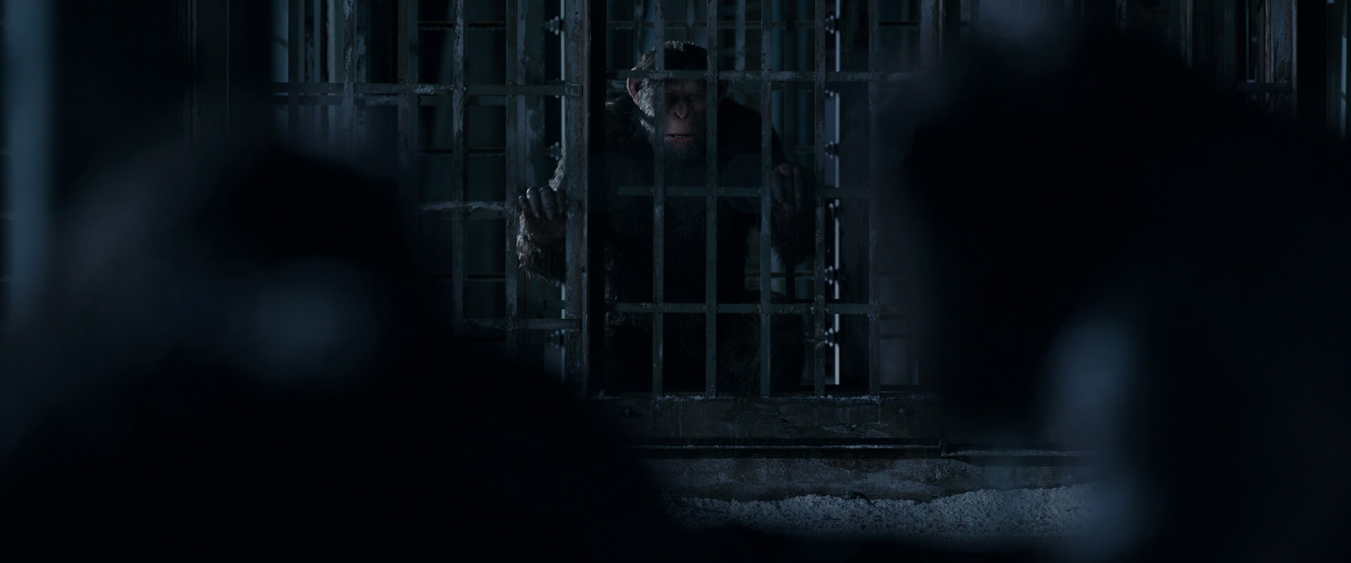 War for the Planet of the Apes (2017) screencap 12477