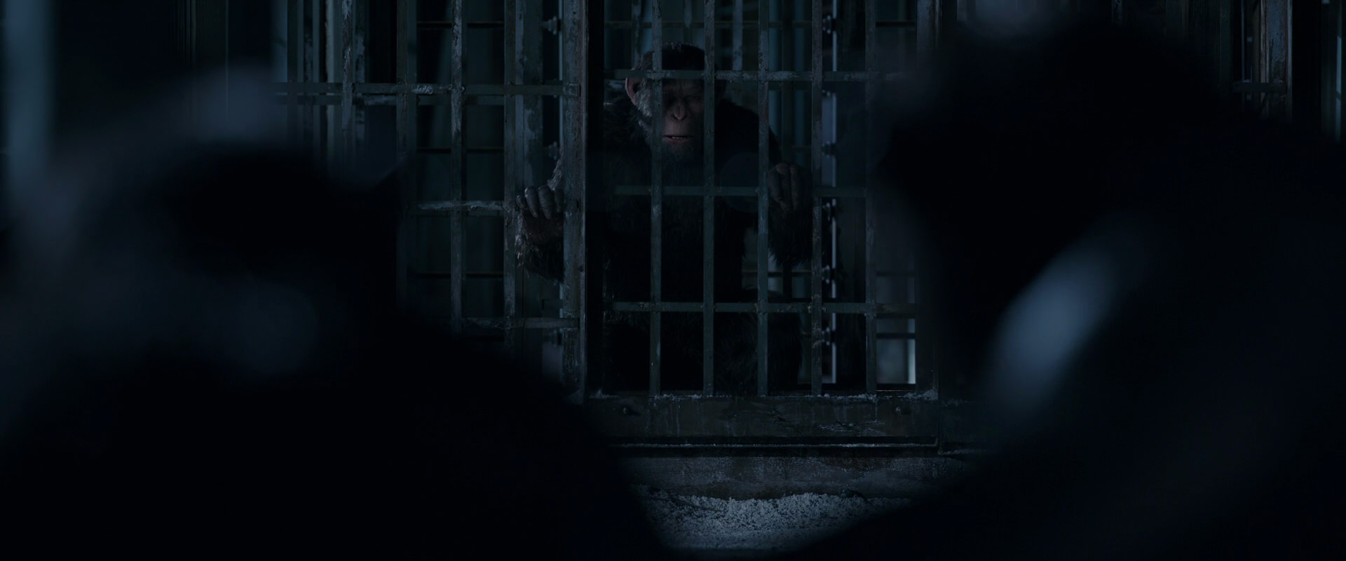 War for the Planet of the Apes (2017) movie still 12478
