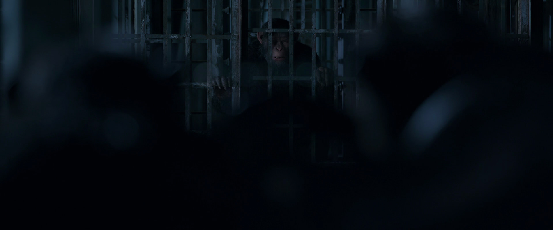 War for the Planet of the Apes (2017) HD screenshot 12479