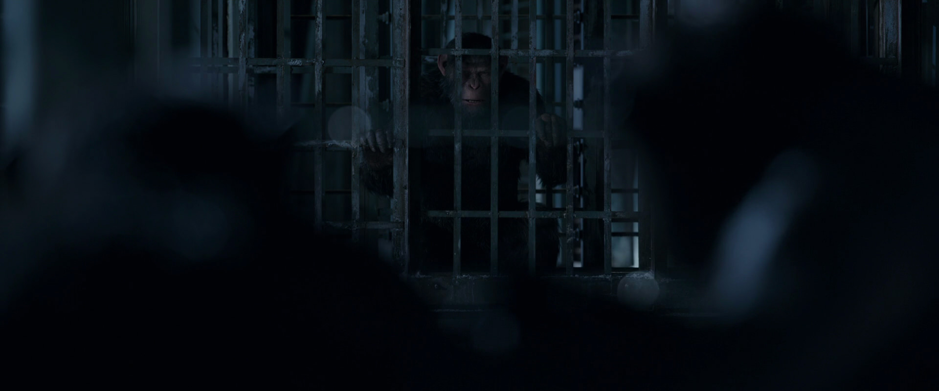 War for the Planet of the Apes (2017) screencap 12480