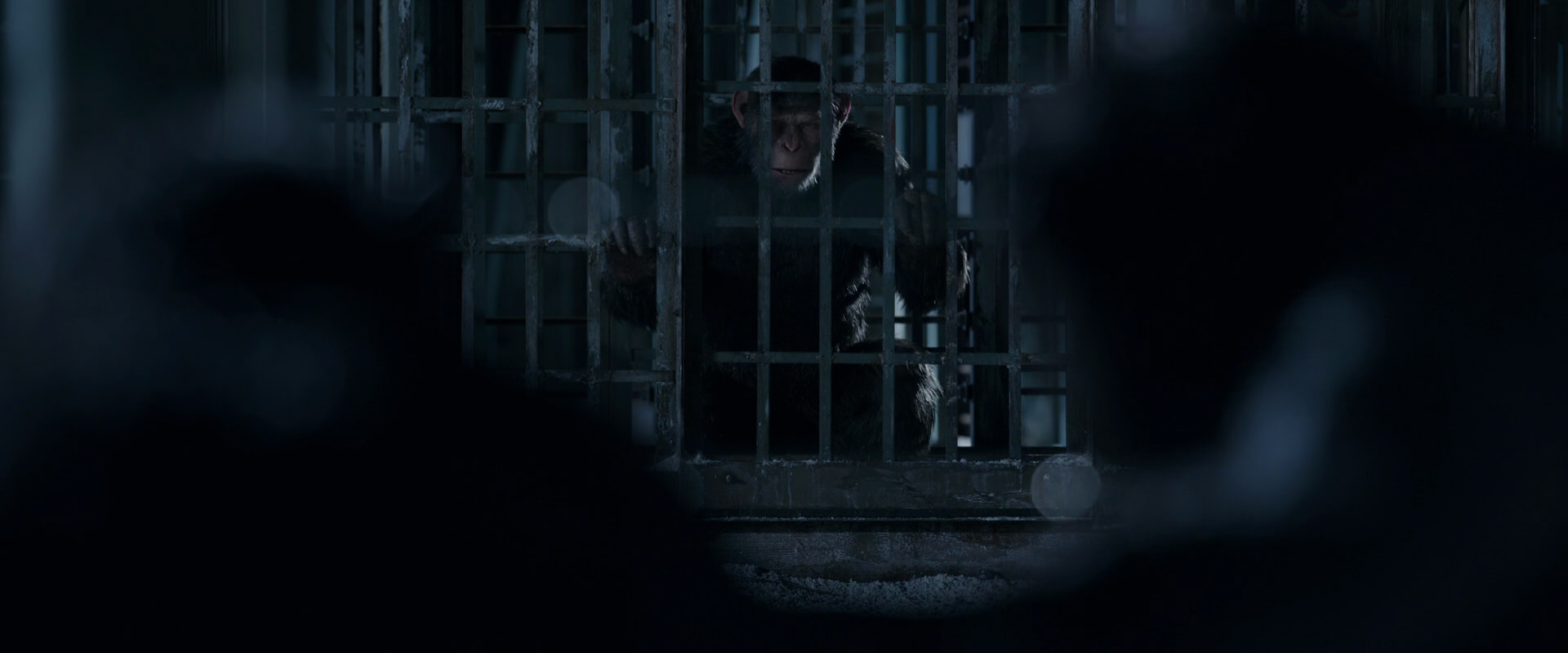 War for the Planet of the Apes (2017) movie still 12481
