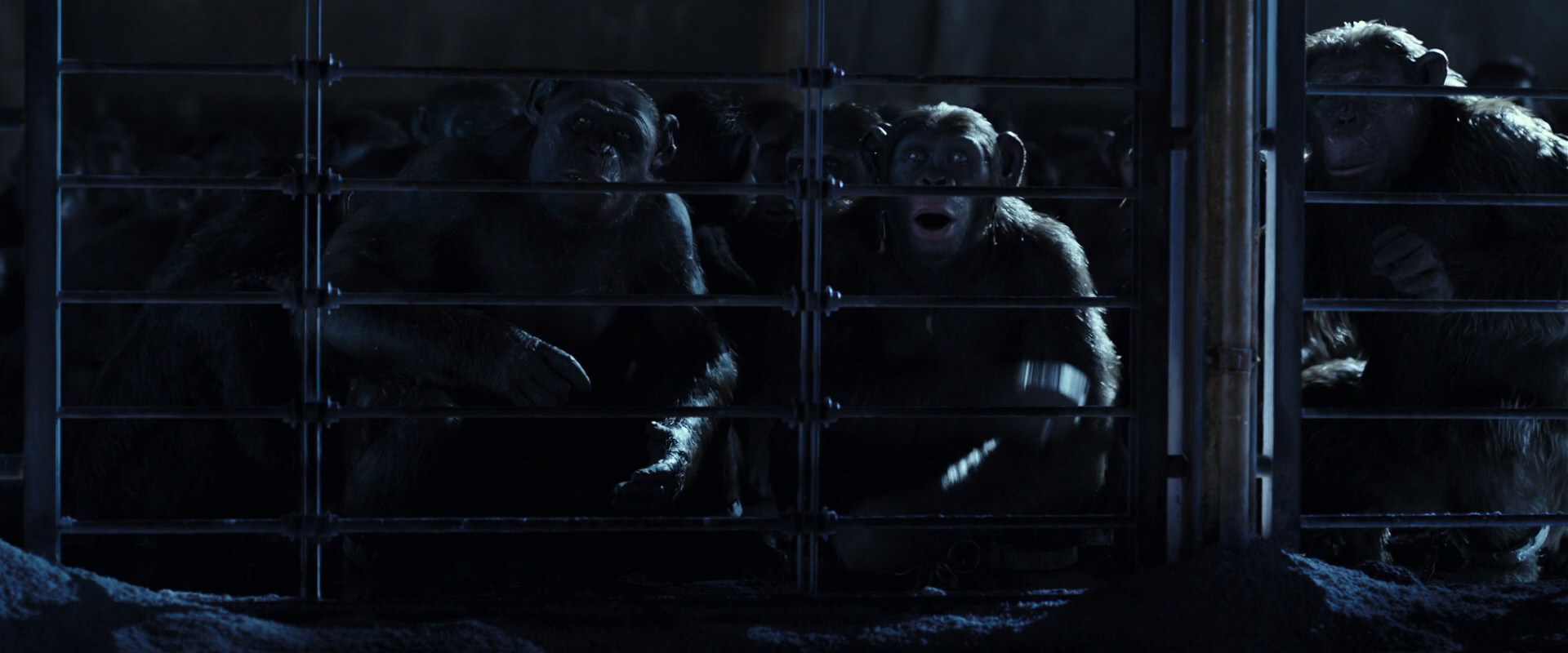 War for the Planet of the Apes (2017) HD screenshot 12482