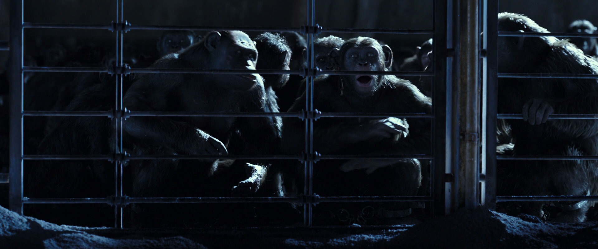War for the Planet of the Apes (2017) screencap 12483