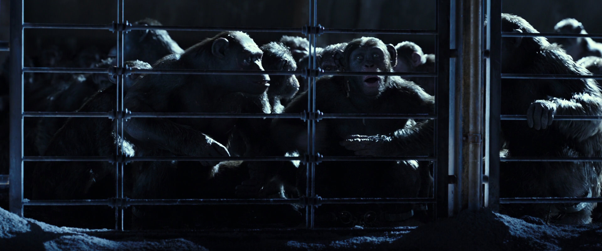 War for the Planet of the Apes (2017) HD screenshot 12485