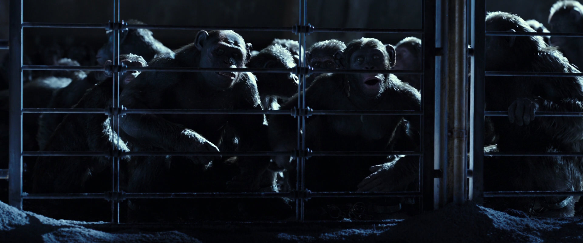 War for the Planet of the Apes (2017) screencap 12486
