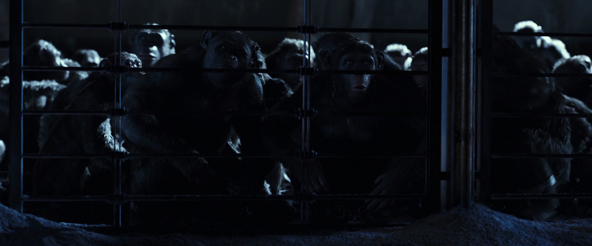 War for the Planet of the Apes (2017) HD screenshot 12488