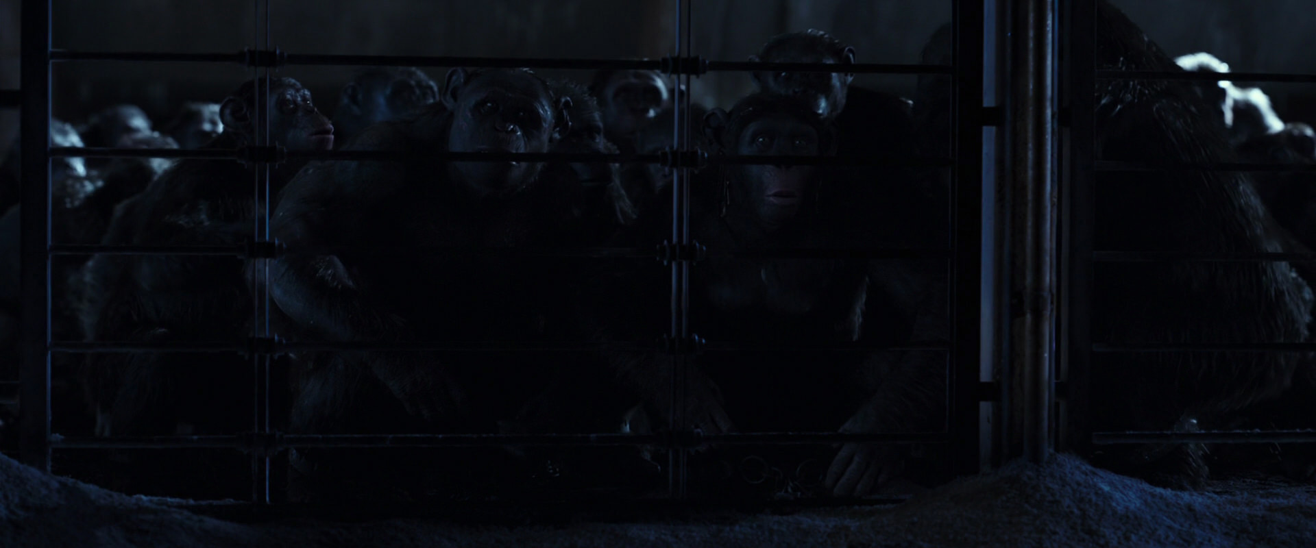 War for the Planet of the Apes (2017) screencap 12489