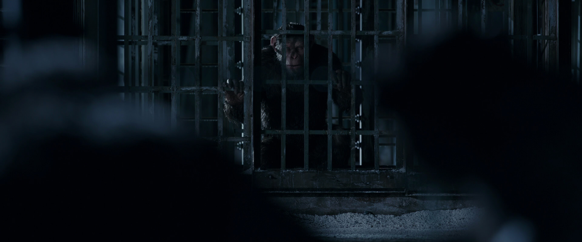 War for the Planet of the Apes (2017) movie still 12490