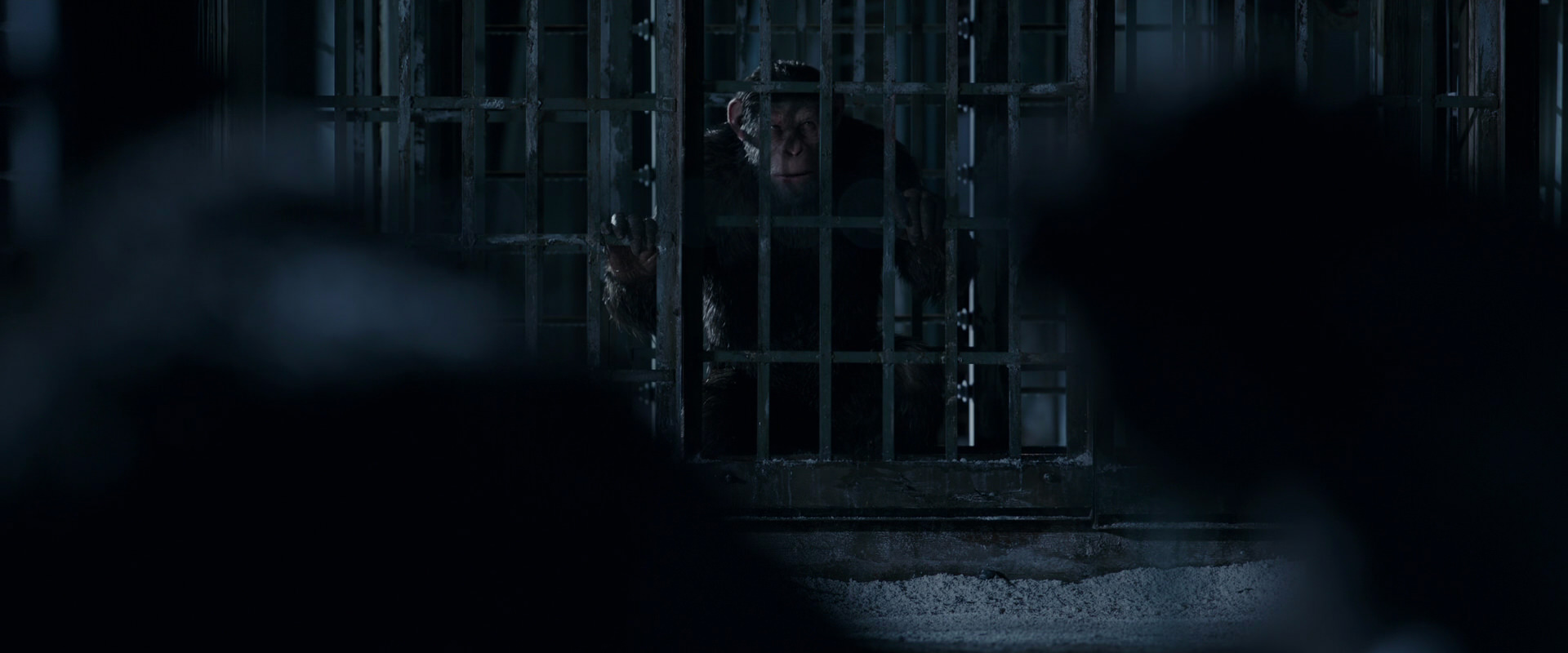 War for the Planet of the Apes (2017) HD screenshot 12491