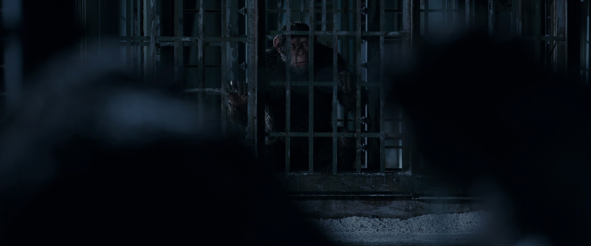 War for the Planet of the Apes (2017) screencap 12492
